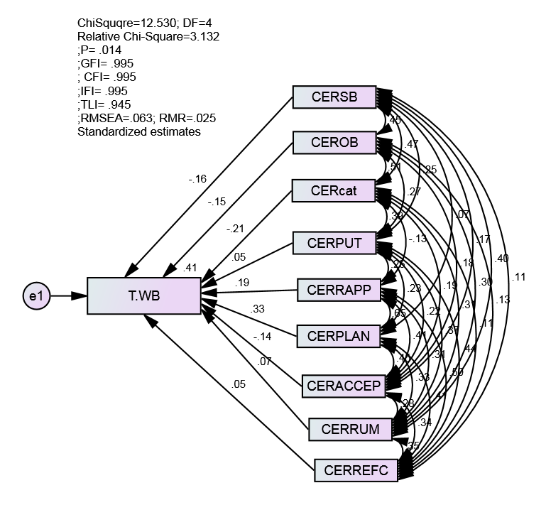 A Structural Model for the Contributions of Cognitive Emotion Regulation Components on Psychological Well-being. Note: T.WB = Total psychological well-being, LOGPHYW = Walking, CERSB = Self-blame, CEROB = Other-blame, CERCAT = Catastrophising, CERPUT = Putting into, perspective, CERAPP = Reappraisal, CERPLAN = Planning, CERACCEP = Acceptance, CERRUM = Rumination, CERREFC = Refocusing