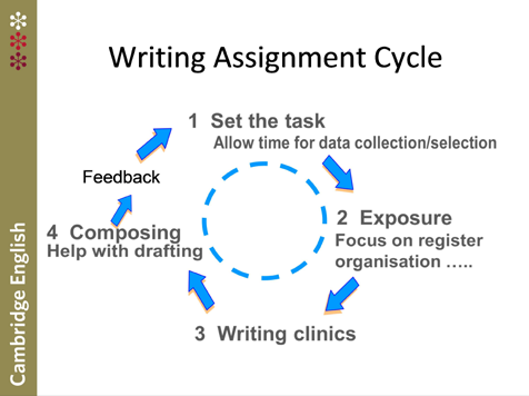 The writing assignment cycle 
