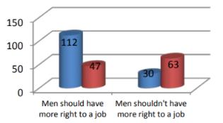 Income and gender role perception