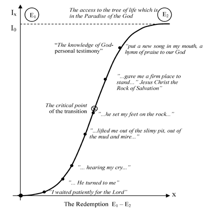 Fig.4. The negentropic transitional model as a ladder to heaven (Soriţău & Pop, 2014) 