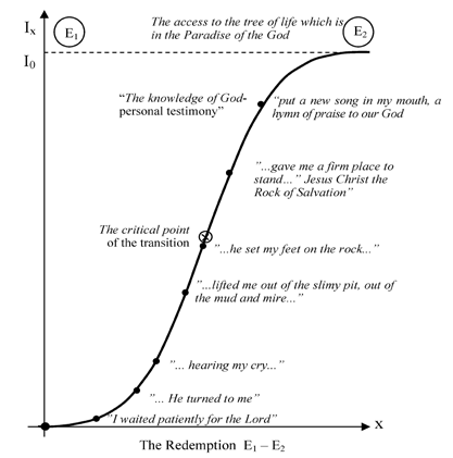 Fig.4. The negentropic transitional model as a ladder to heaven (Soriţău & Pop, 2014)