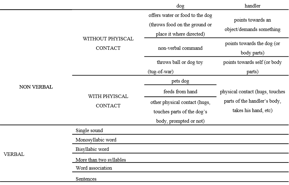 Coded behaviors of the 5-years boy oriented toward the dog and the handler.