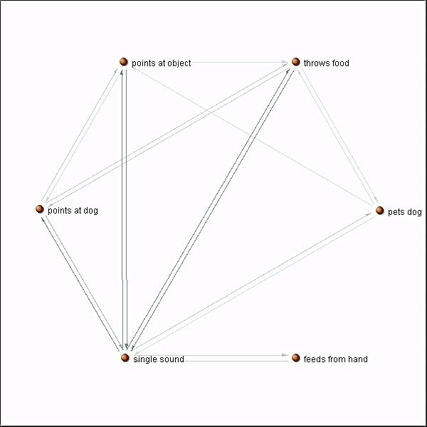 Figure 1. Graphic representation (produced
      by Agna 2.1) of the behavioral sequences and of the transitions between them on the first AAT
      session.