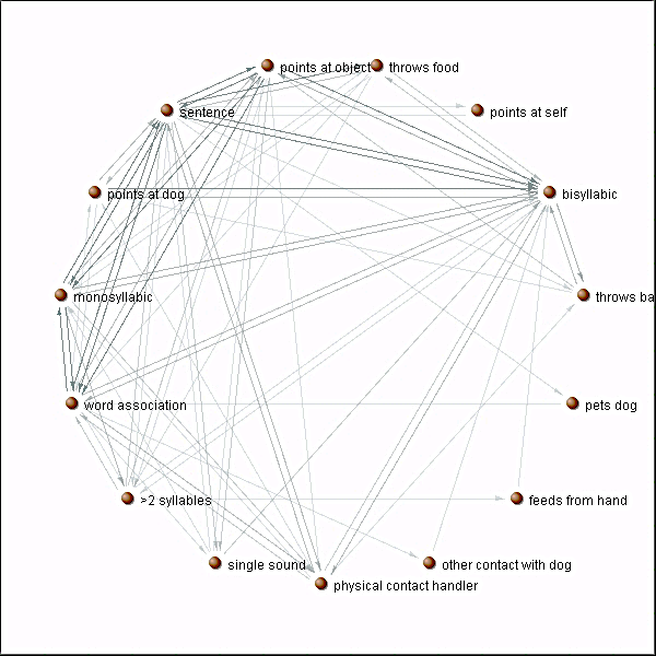 Figure 2. Graphic representation (produced
      by Agna 2.1) of the behavioral sequences and of the transitions between them on the fifth AAT
      session.