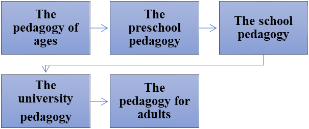 Fig. 2. The pedagogical branches of education depending on the subjects age criteria