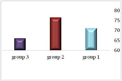 Raven test – comparison of groups