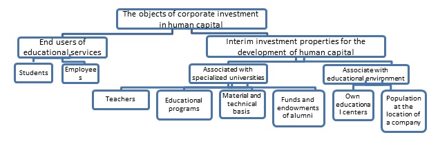 Typology of corporate investment in human capital accumulation