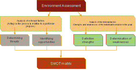 SWOT matrix (Arutunuva, 2010)