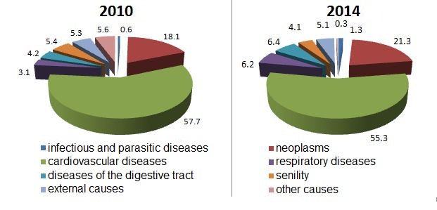 The structure of mortality rates of the working age population by main causes of death, %.