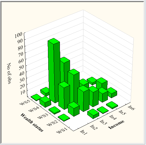 3D histogram of the frequencies of income and wealth status