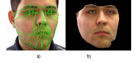 a) The grid imposed on the original image; b) a normalized image