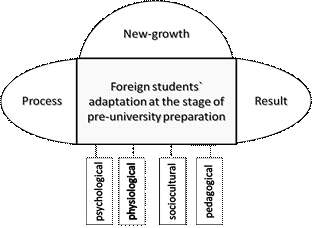 Chart of foreign students` adaptation 