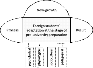 Chart of foreign students` adaptation