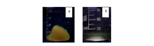 Berzelius glasses with water and honey bees (a), water and “energizing honey”- forged (b) 