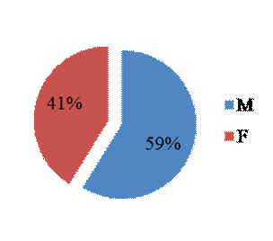 and financial support in their activities, in school and also outside of school. Distribution of children according to gender 