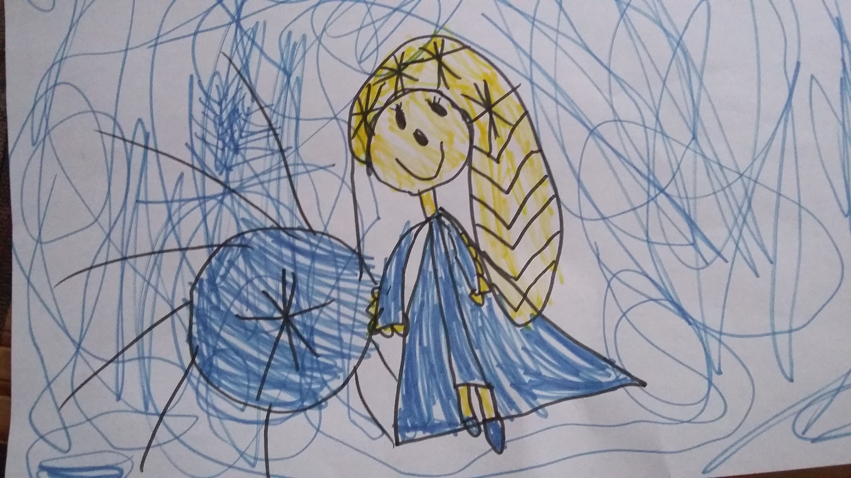 Fig. 2. The drawing of Elsa 