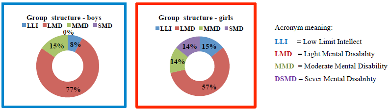 Fig.1. Structure of the lot according to
the degree of mental disability and sex