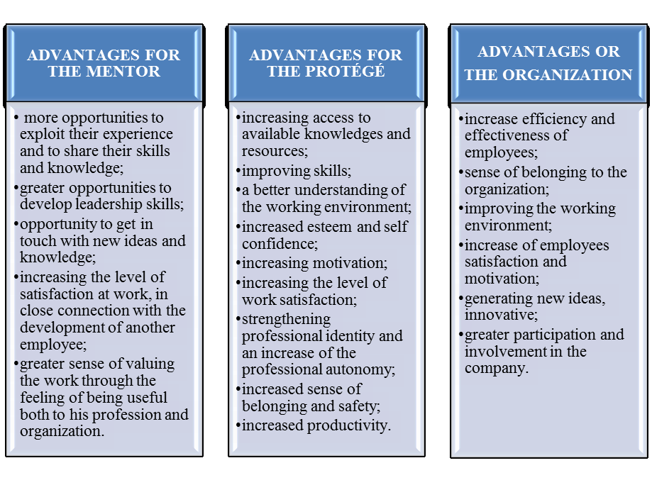 Fig. 2. Stages of a mentoring relationship 