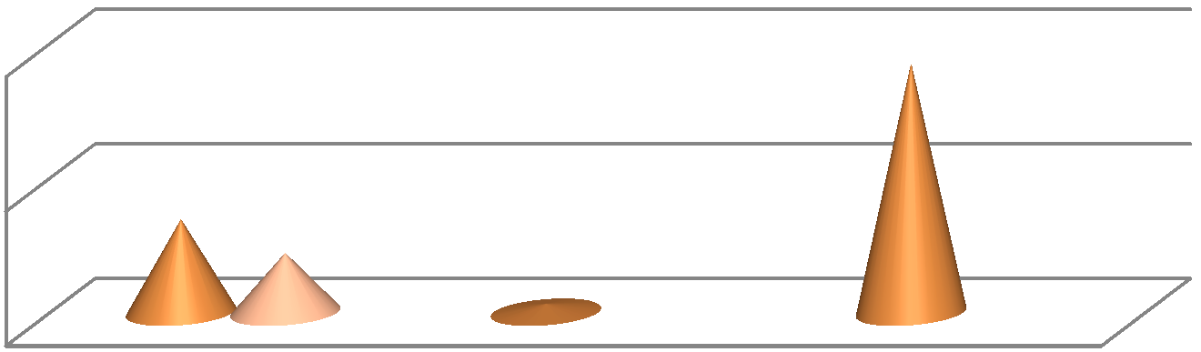 The graphic representation for the 1000 m endurance running test 