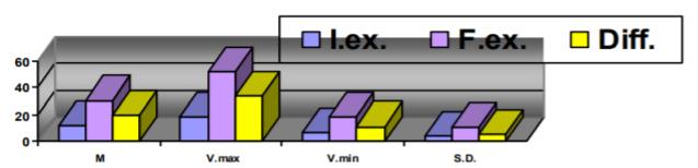 Result representation for the Flamingo Test of the study group in the initial and final evaluation 