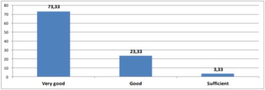 Pupils’ results at the end of the school year (%) 