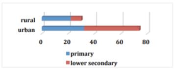 Distribution of scores on the importance of the strategies used