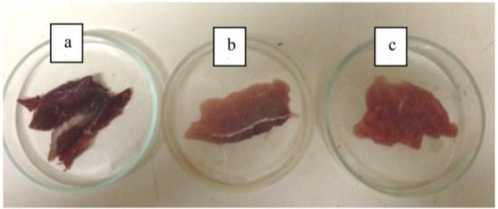 Organoleptic examination of meat: altered meat, expired (a), relatively fresh meat (b), fresh meat (c), placed in Petri dishes 