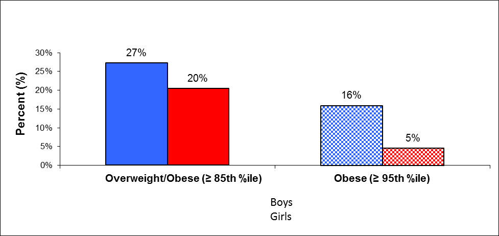 Overweight incidence depending on age and gender (13-year-old boys and girls) 