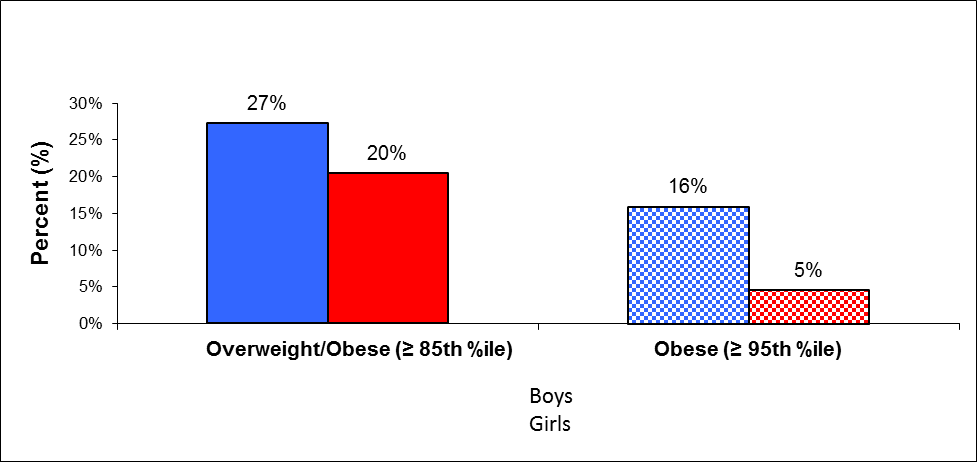 Overweight incidence depending on age and gender (13-year-old boys and girls)