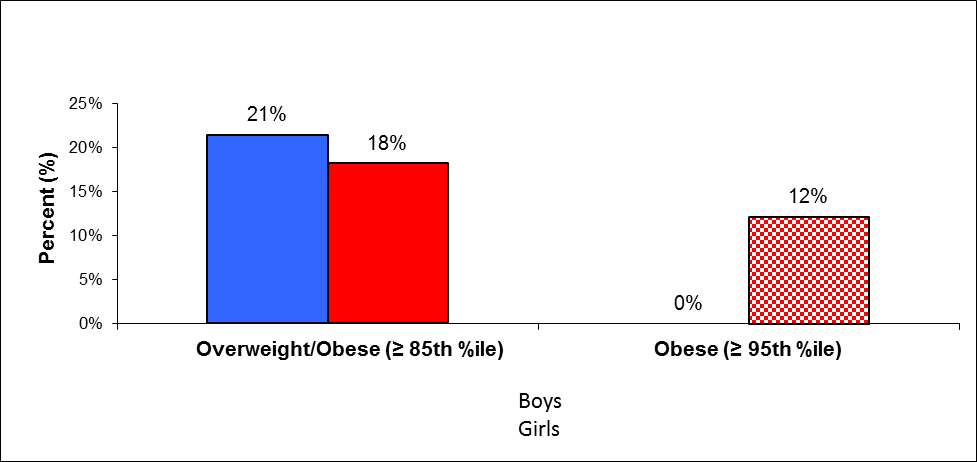 Overweight incidence depending on age and gender (15-year-old boys and girls) 