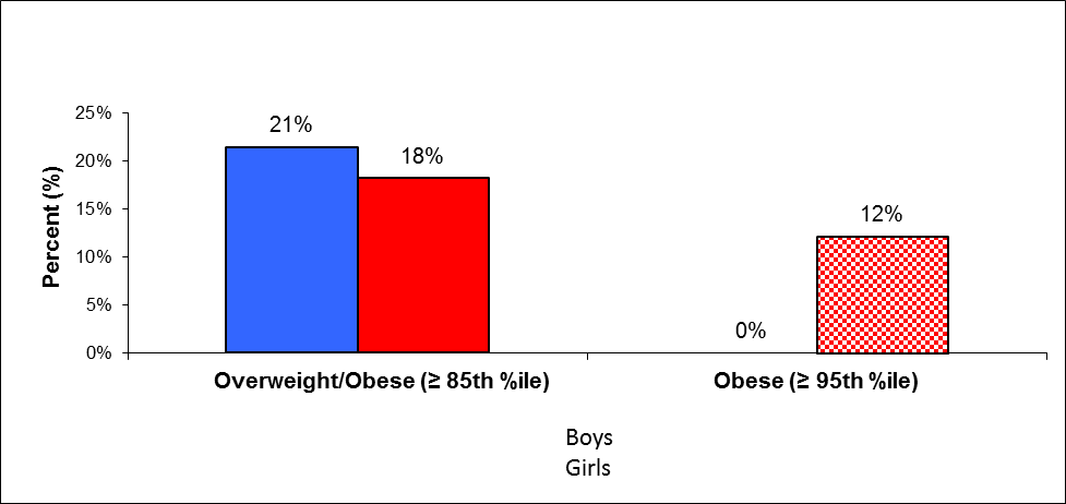 Overweight incidence depending on age and gender (15-year-old boys and girls)