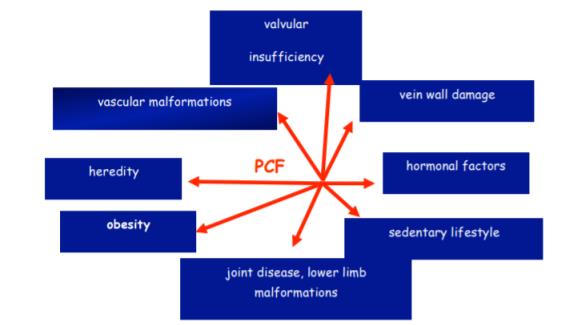 P.C.F. physiopathology is caused by many factors: