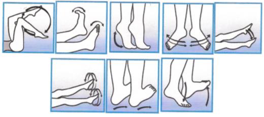 Exercises intended to improve venous circulation 
