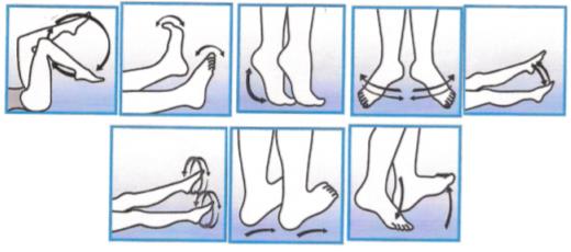Exercises intended to improve venous circulation