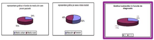 Graphical representation of the subject according to their backgrounds 