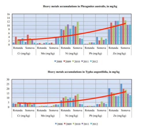 Evaluation of heavy metals content in Danube’s aquatic vegetation