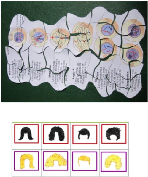Materials for games related to biology topics, designed by a secondary teacher in training: mitosis puzzle and stickers with wigs for playing with genetics (Source: Staffieri, 2016)] 