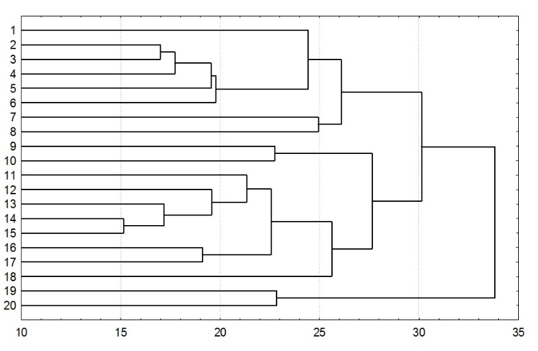 Dendrogram of social and cultural needs.