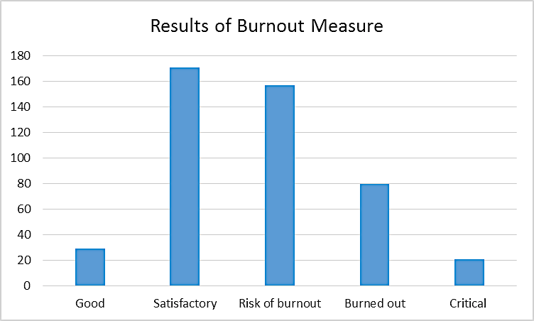 Figure 01: Results of Burnout Measure