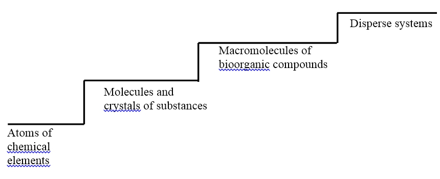 Hierarchy of natural systems as evidenced by physics and chemical systems