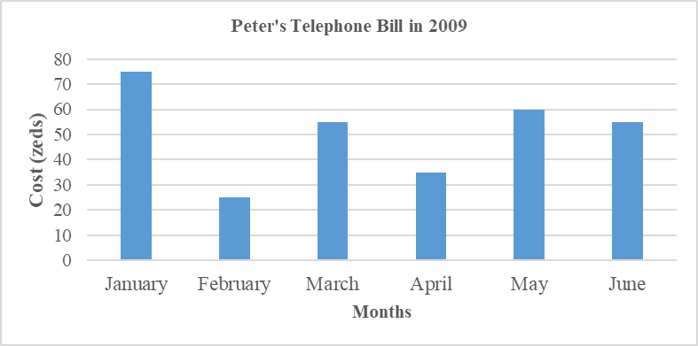 Peter's Telephone Bill in 2009.