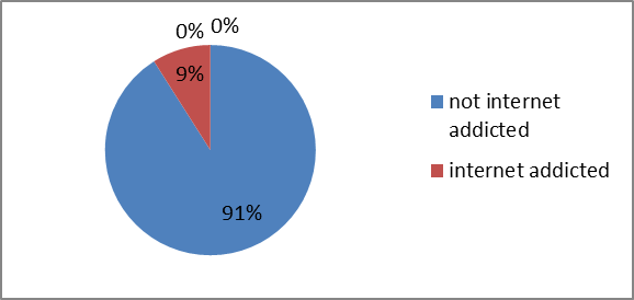 The results of assessment of teenage internet addiction (using the method of S.A. Kulakov).