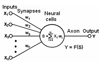 Formal neuron scheme.