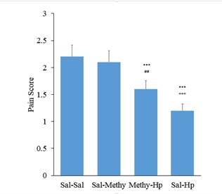 Pre-treatment with intrathecal injection of Methysergide(Methy)30μg /rat on analgesia induced by intraperitoneal injection of 400mg/kg aqueous extract Hpof the first phase of the formalin test. (n=6). Methysergid significantly reduced antinociceptive effects of Hp extract in comparing Saline-Saline(sal-sal) group(***p<0.001), Sal-Methy(+++p<0.001) and Meth-Hp(##p<0.01). One-way ANOVA with post-hoc Tukey Test.