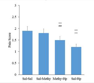 Pre-treatment with intrathecal injection of Methysergid (Methy)30μg /rat on analgesia induced by intraperitoneal injection of 400mg/kg aqueous extract Hpof the second phase of the formalin test.(n=6). Methysergid significantly reduced antinociceptive effects of Hp extract in comparing Saline-Saline (sal-sal) group(***p<0.001), Sal-Methy (+++p<0.001) and Meth-Hp(###p<0.01). One-way ANOVA with post-hoc Tukey Test.