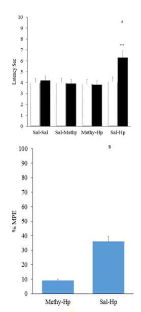 Pre-treatment with intrathecal injection of Methysergide(Methy) 30μg /rat on analgesia induced by intraperitoneal injection of 400mg/kg aqueous extract Hp on Tail flick test.(n=6). A. Predrug □ and post drug ■ latency were measured(by paired t-test). B.Maximum possible effect (MPE) inhibited by Methysergid (Methy) pretreatment (*p<0.5, un-paired t-test).