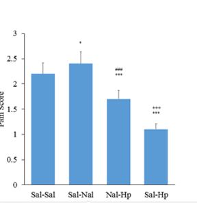 Pre-treatment with intrathecal injection of Naloxane(Nal)5μg /rat on analgesia induced by intraperitoneal injection of 400mg/kg aqueous extract Hpof the first phase of the formalin test.(n=6). Naloxane (Sal-Nal group) significantly produced pain score in comparing Saline-Saline(sal-sal) group(*p<0.05), however Naloxane(Nal-Hp) in comparing Sal-Hpat least +++p<0.001) I nhibited some part of aninociceptive effects of Hp. One-way ANOVA with post-hoc Tukey Test.