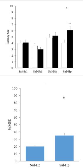 Pre-treatment with intrathecal injection of Naloxane(Nal) 5μg /rat on analgesia induced by intraperitoneal injection of 400mg/kg aqueous extract Hp on Tail flick test.(n=6). A. Predrug □ and post drug■ latency were measured. Nalderceased latency time significantly(*p<0.05 by paired t-test) AND Hp increased latency time (***p<0.001). B. Maximum possible effect (MPE) unchanged by Nalpretreatment (*p<0.5, un-paired t-test).