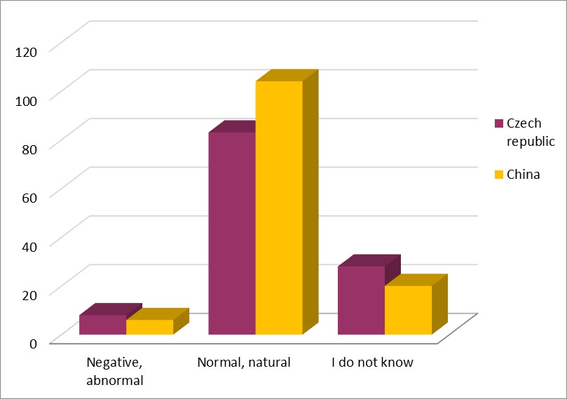 Questionnaire item 21 (Do you perceive puberty as something:)