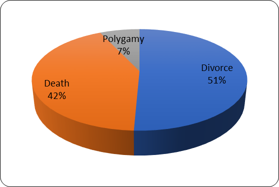 Reasons for Matrimonial Property Claims 2011